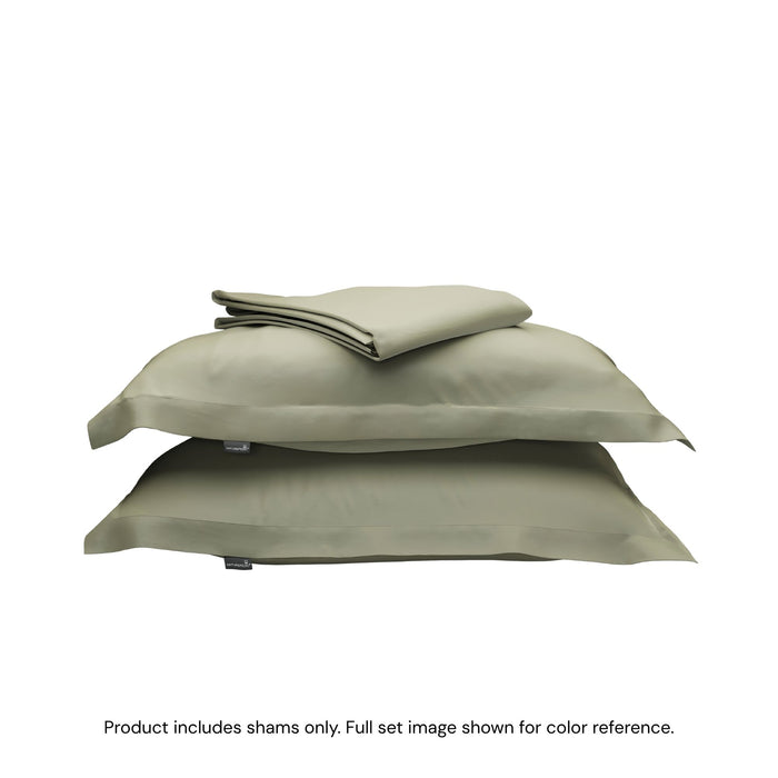 Forest Canopy / Standard