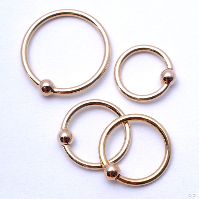 Fixed Bead Rings in Gold in 18g from Anatometal