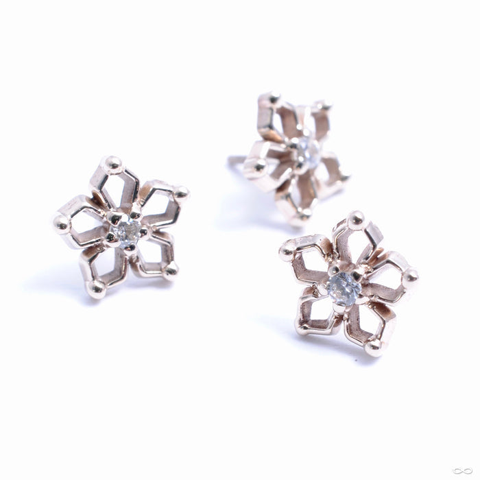 Flourish Press-fit End in Gold from Maya Jewelry in white gold