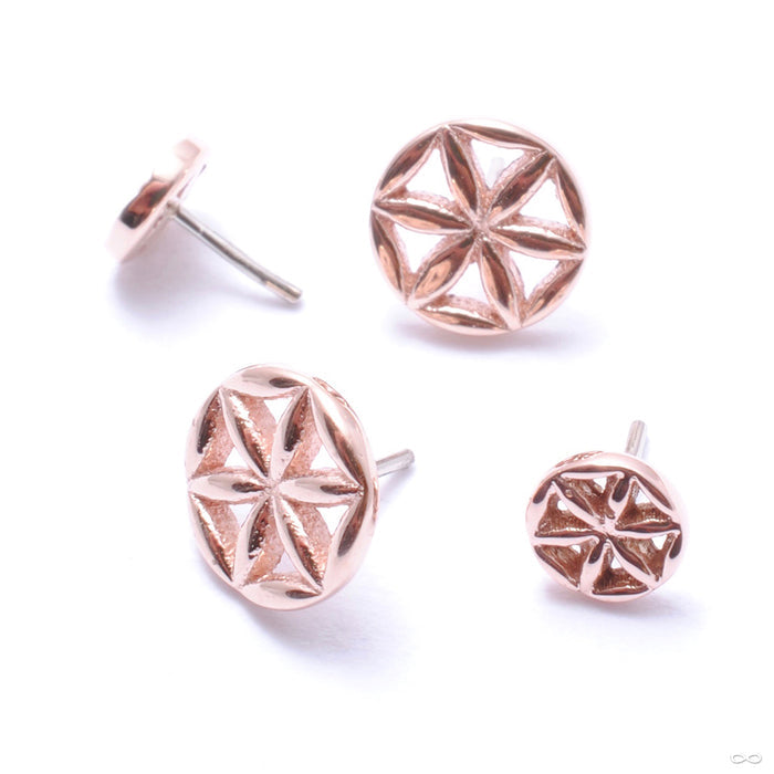 Flower of Life Press-fit End in Gold from BVLA in rose gold