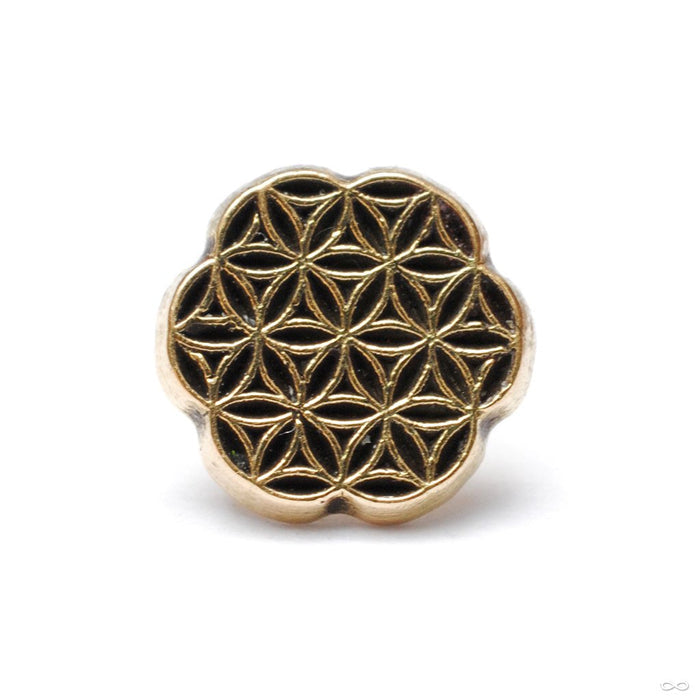 Forty3 Press-fit End in Gold from Maya Jewelry in 14k Yellow Gold