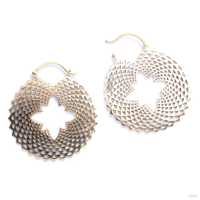 Fractal Hoops from Diablo Organics in brass