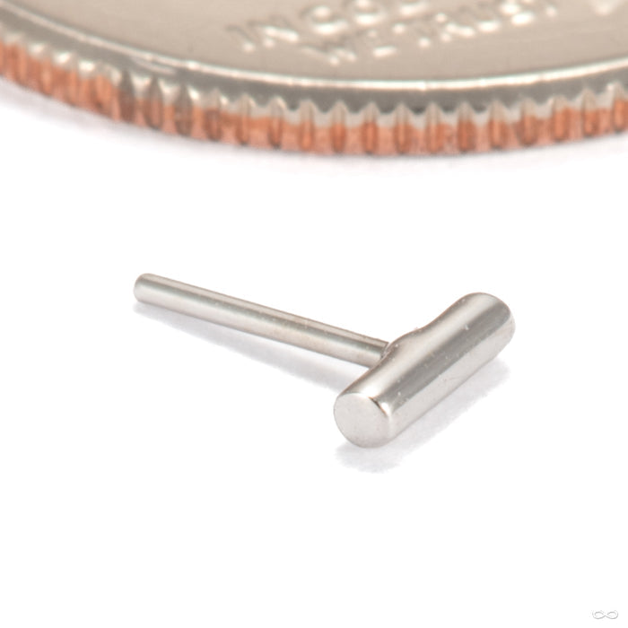 Funfetti Press-fit End in 14k White Gold from Ember Body Jewelry