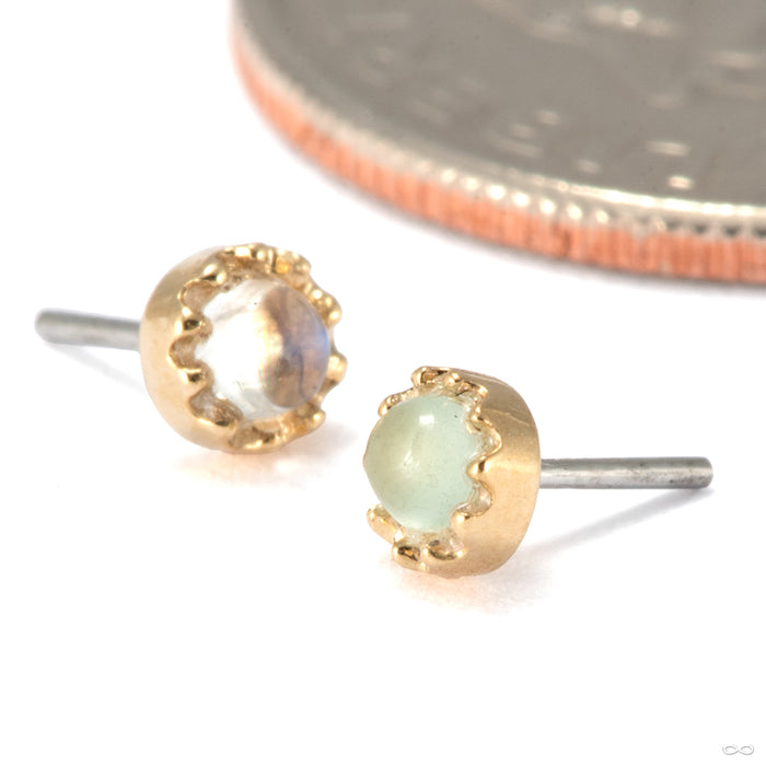 Georgina Press-Fit End in Gold from Tawapa with assorted stones