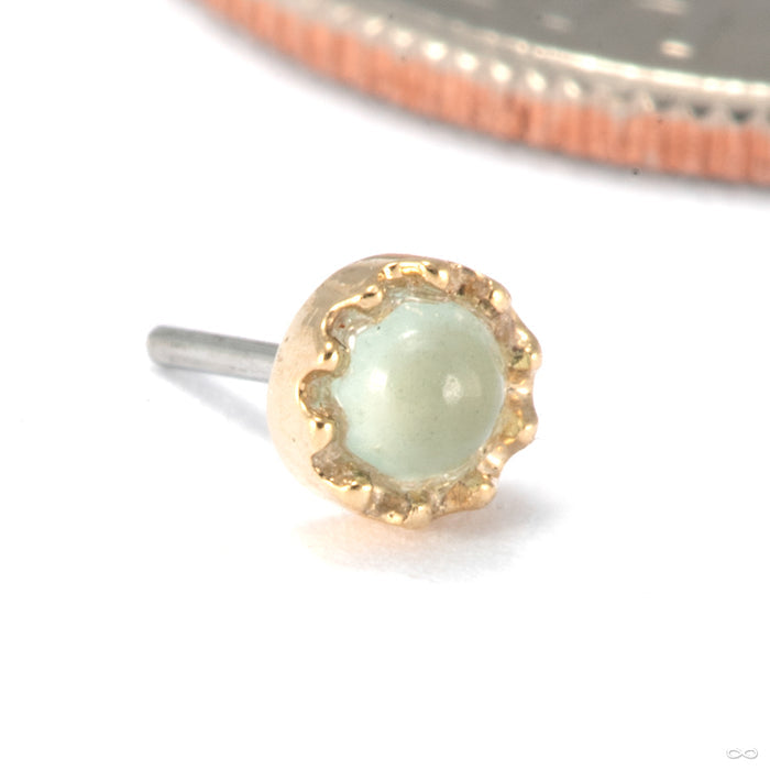 Georgina Press-Fit End in 14k Yellow Gold with Jadeite from Tawapa