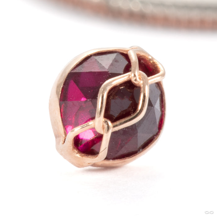 Get Money Press-fit End in 14k Rose Gold with Ruby from Pupil Hall
