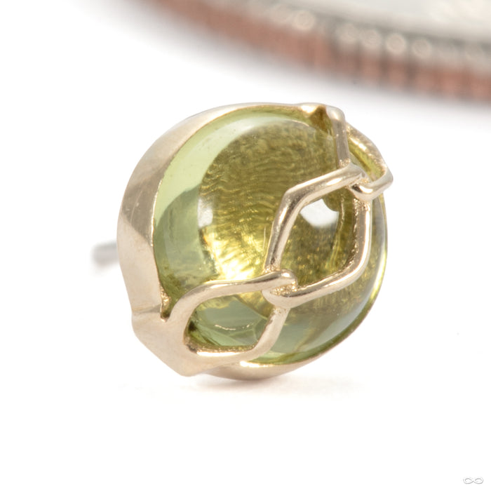Get Money Press-fit End in 14k Yellow Gold with Peridot from Pupil Hall