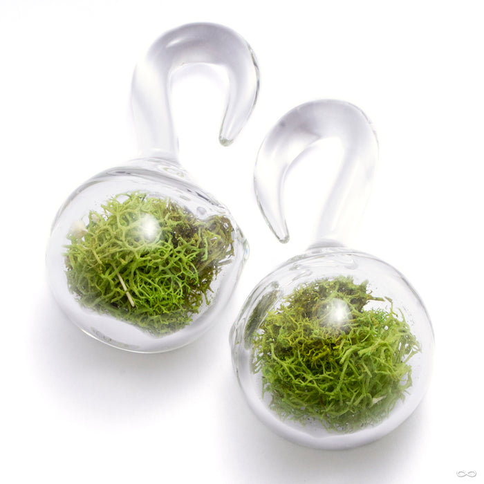 Globe Terrarium Weights with Flowers from Uzu Organics