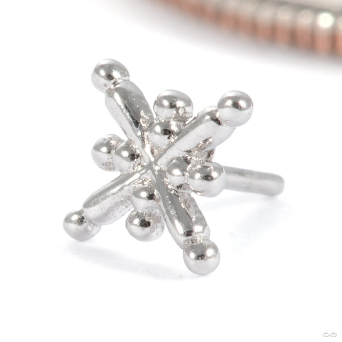 Gold Dust Press-fit End in 14k White Gold from Tawapa