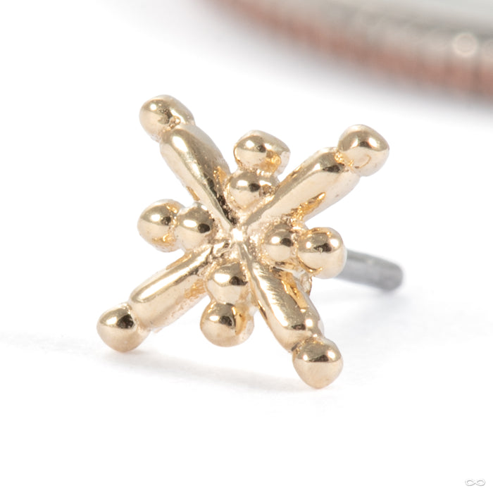 Gold Dust Press-fit End in 14k Yellow Gold from Tawapa