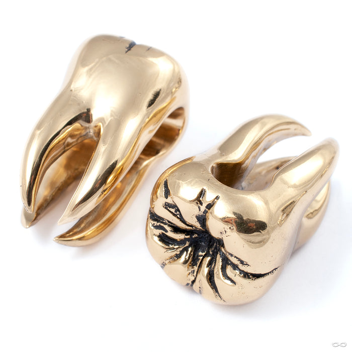 Goliath’s Tooth from Queen of the Ashes Jewelry in yellow brass