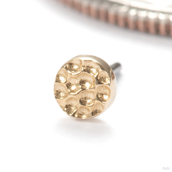 14k Yellow Gold / 2.5mm