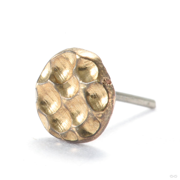 Hammered Disk Press-fit End in Gold from Origins Handmade