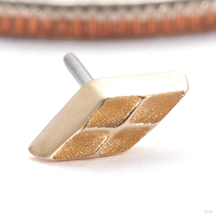 Harlequin Press-fit End in 14k Yellow Gold from Tawapa