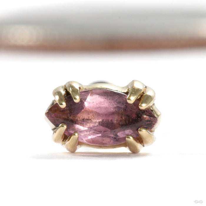 Held Press-fit End in Gold from Sacred Symbols with amethyst