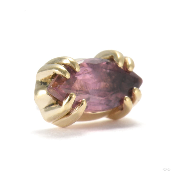 Held Press-fit End in Gold from Sacred Symbols with amethyst
