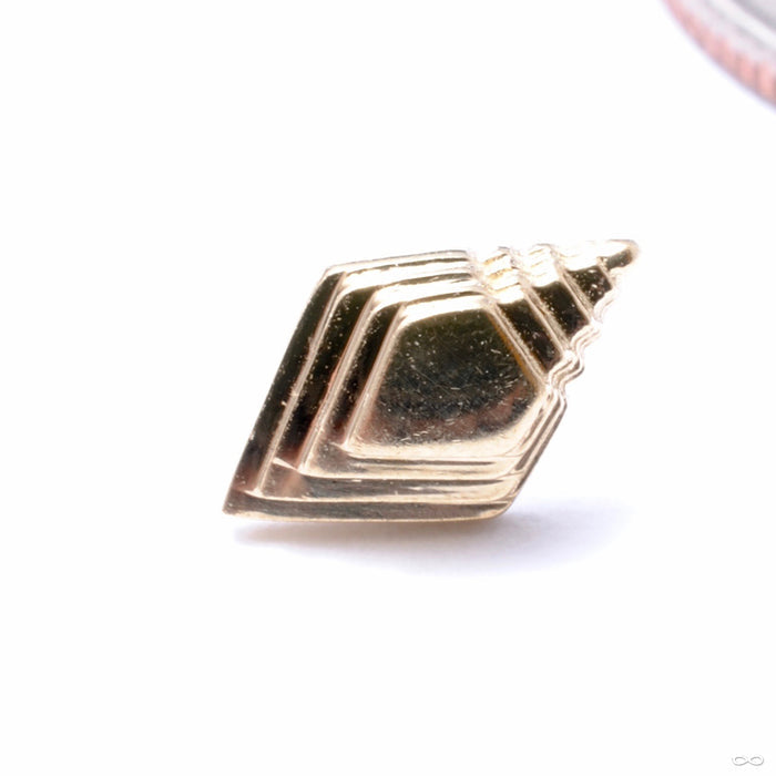 Hierarchy Press-fit End in Gold from Regalia in yellow gold