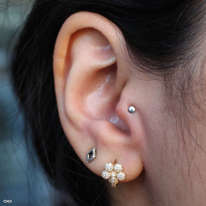 High Polish Disk Press-fit End in Titanium from NeoMetal in a tragus piercing