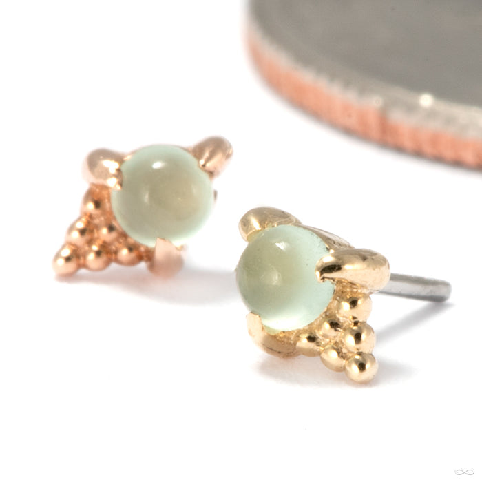 Jolene Press-Fit End in Gold from Tawapa group photo