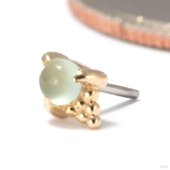 Jolene Press-Fit End in 14k Yellow Gold with Jadeite from Tawapa