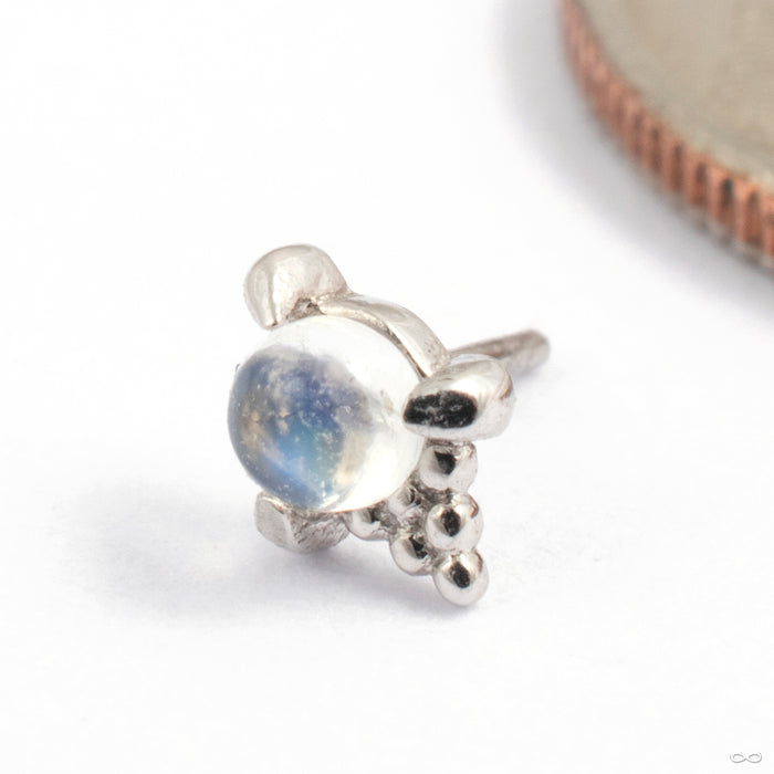 Jolene Press-Fit End in Gold from Tawapa in white gold with moonstone angled view