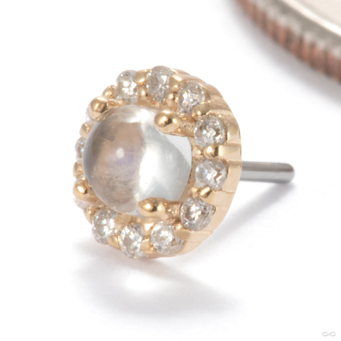 Joy Press-fit End in 14k Yellow Gold with Blue Moonstone & Moissanite from Ember Body Jewelry