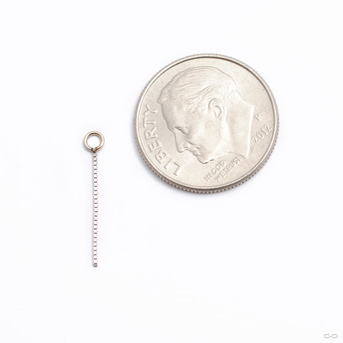 Kite Tail Charm in Gold from Quetzalli in white gold