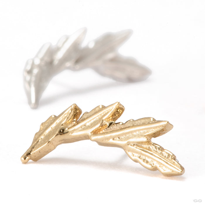 Laurel Press-fit End in Gold from Tawapa in assorted materials