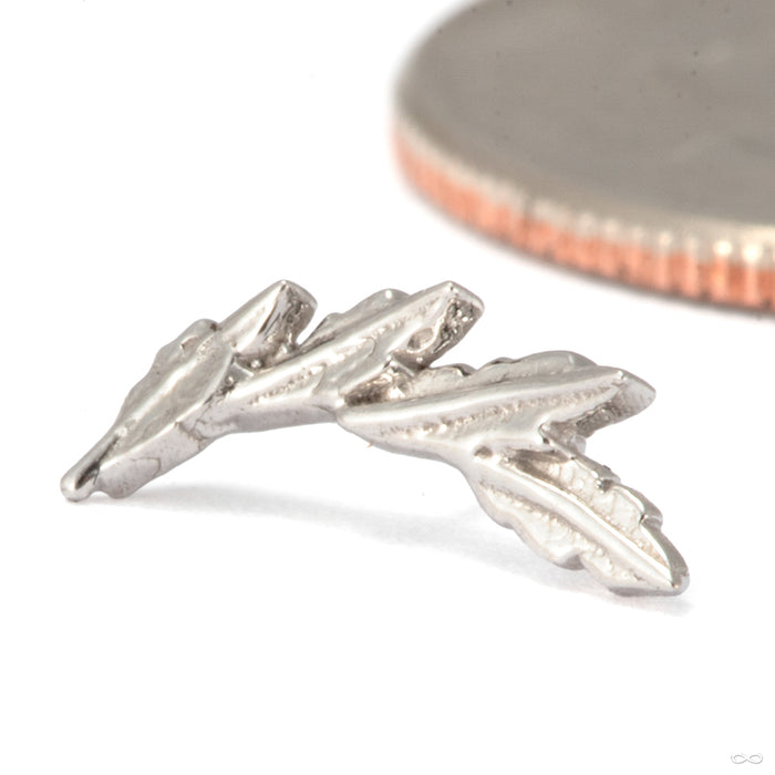 Laurel Press-fit End in 14k White Gold in Left Orientation from Tawapa