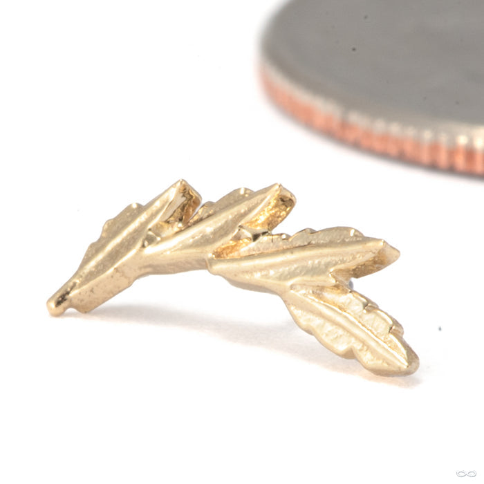Laurel Press-fit End in 14k Yellow Gold in Left Orientation from Tawapa
