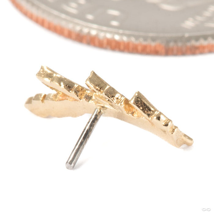 Laurel Press-fit End in 14k Yellow Gold from Tawapa back detail