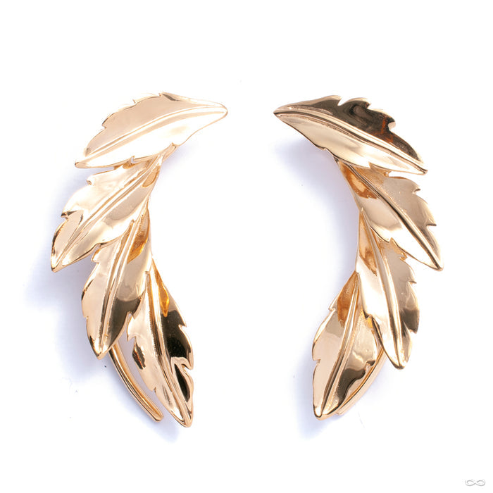Laurel Weights from Tawapa in yellow-gold-plated brass