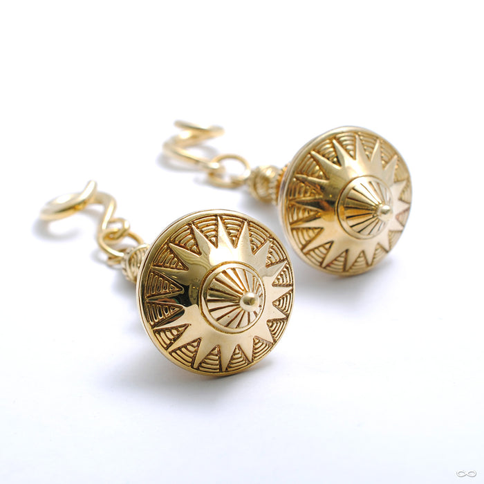 Leo Weights from Diablo Organics in brass