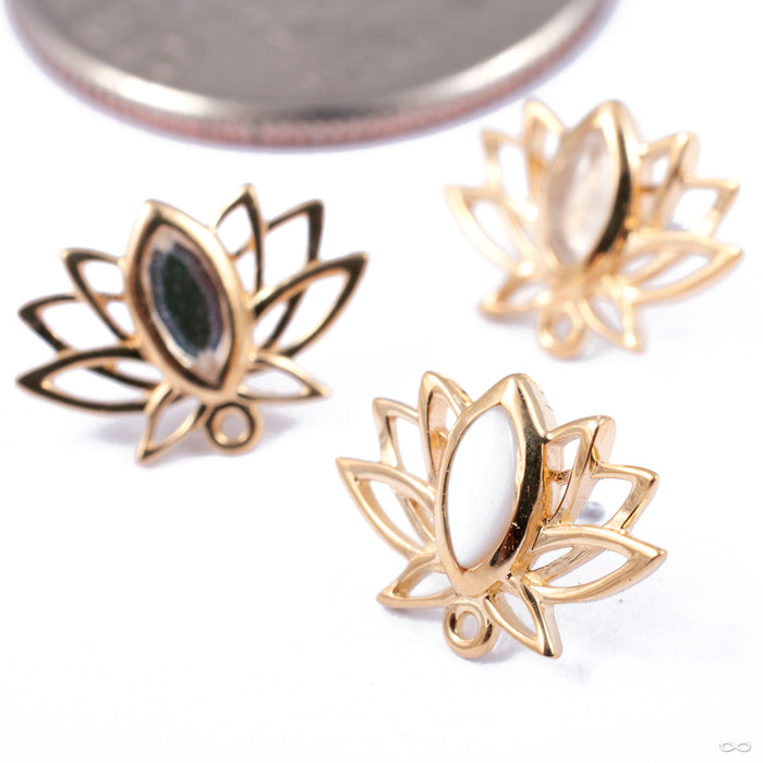 Lotus Press-fit End in Gold from Auris Jewellery in assorted materials