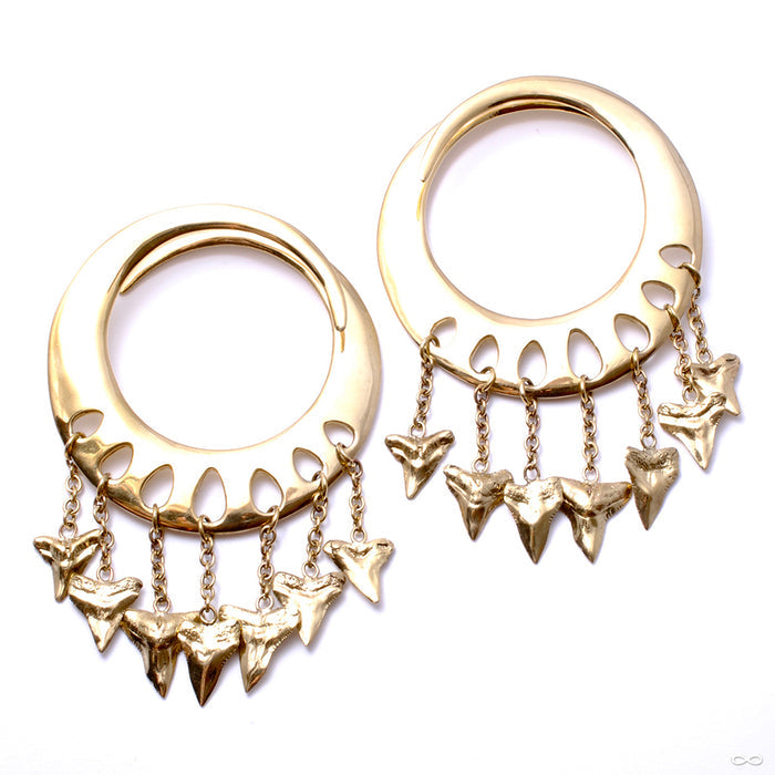 Lotus Shark Teeth Ear Weights from Diablo Organics in brass