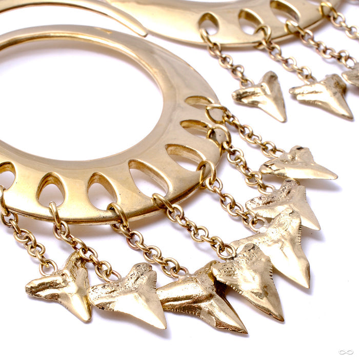 Lotus Shark Teeth Ear Weights from Diablo Organics in brass