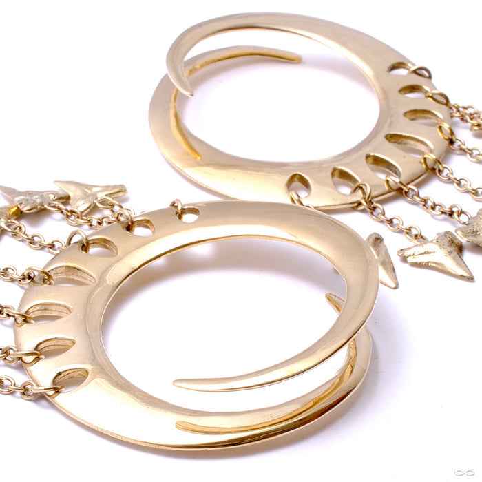 Lotus Shark Teeth Ear Weights from Diablo Organics in brass