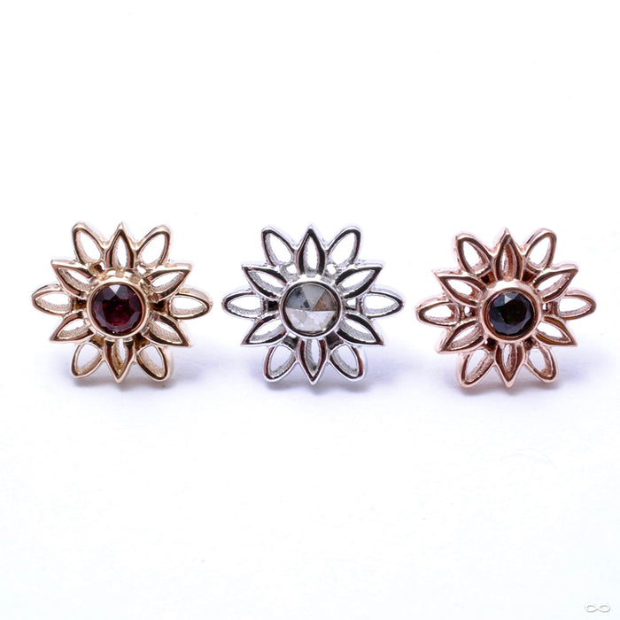 Marisol Press-fit End in Gold from BVLA in assorted materials