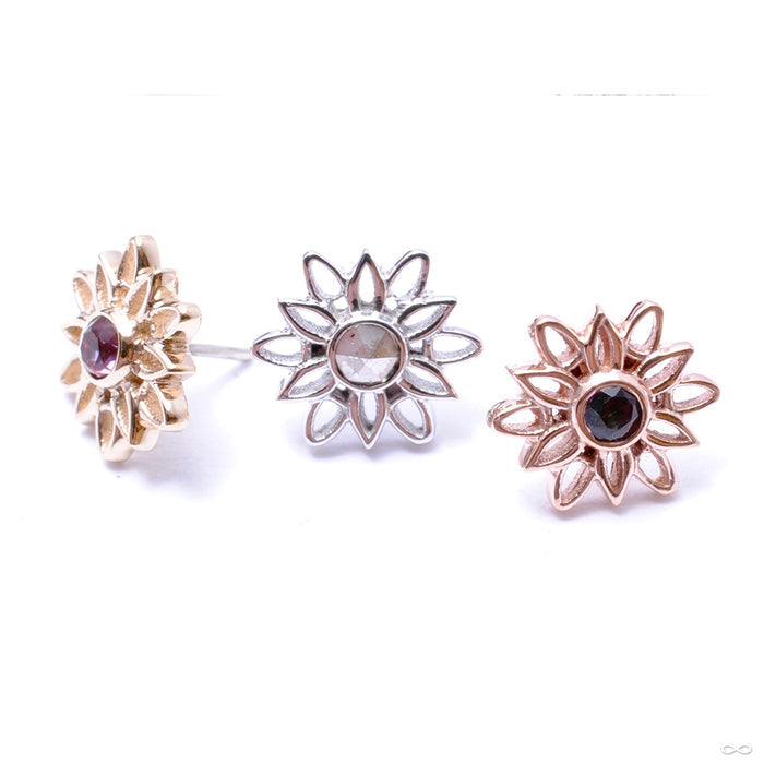 Marisol Press-fit End in Gold from BVLA in assorted materials