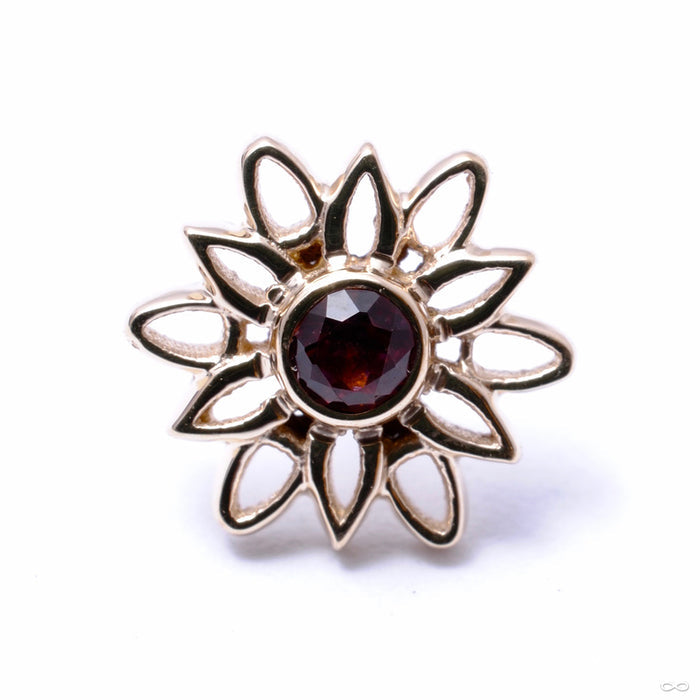 Marisol Press-fit End in Gold from BVLA with Anatsasia Topaz