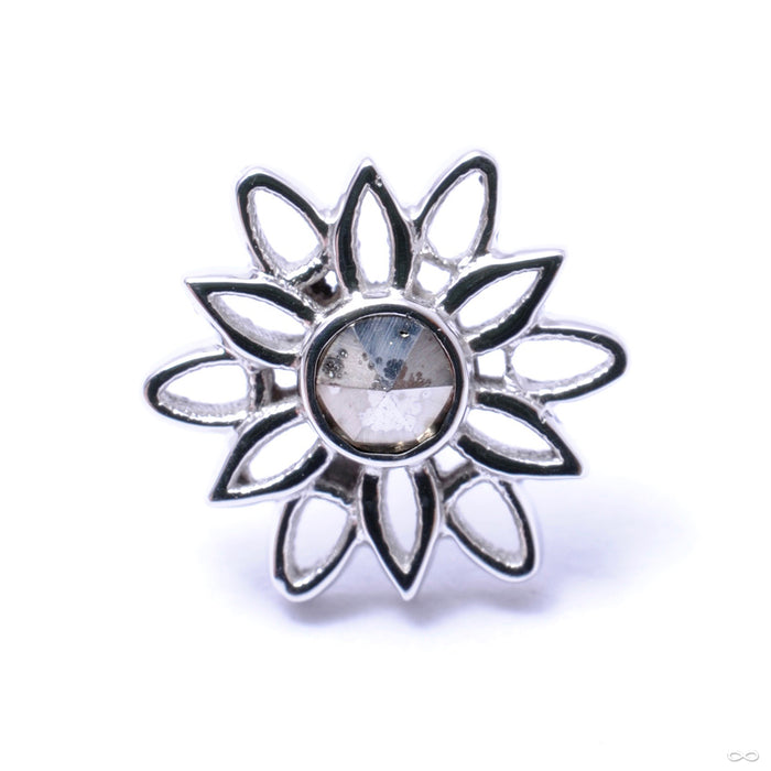 Marisol Press-fit End in Gold from BVLA with Marcasite