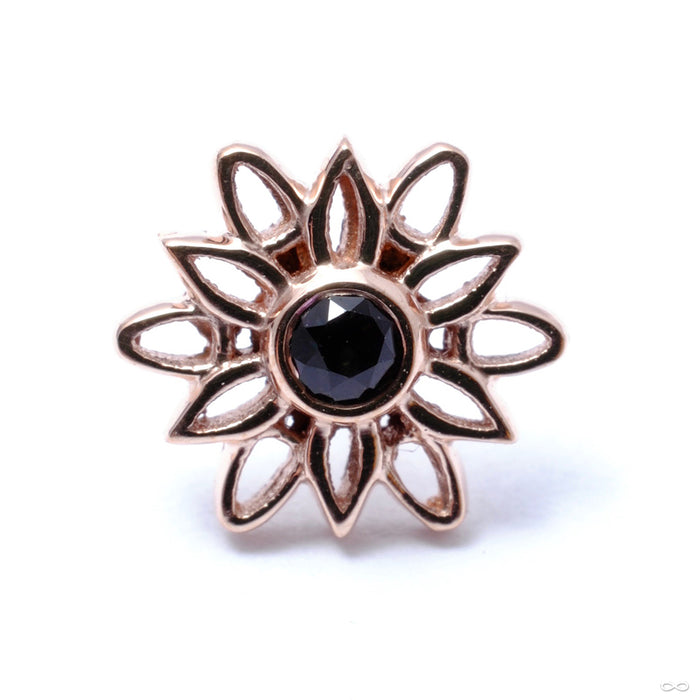 Marisol Press-fit End in Gold from BVLA with Mystic Topaz