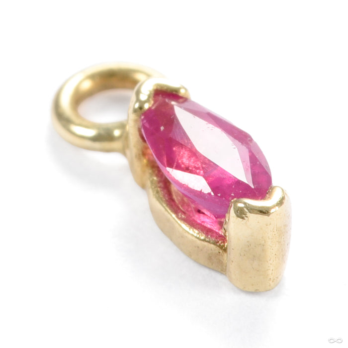 16g (1.2mm) / 14k Yellow Gold / Ruby