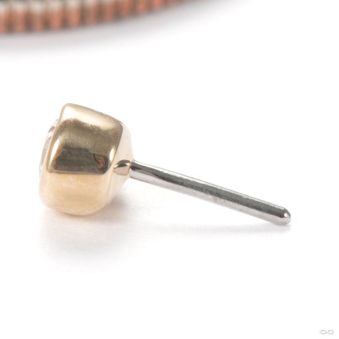 Mary Press-fit End in 14k Yellow Gold with Clear CZ from Junipurr Jewelry side detail