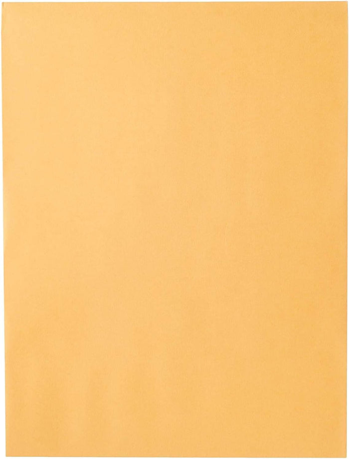 Mead Envelopes, 9" x 12", Clasp Closure, Brown Kraft All-Purpose 24-lb Paper Mailing Envelopes, 20 Count (76020)