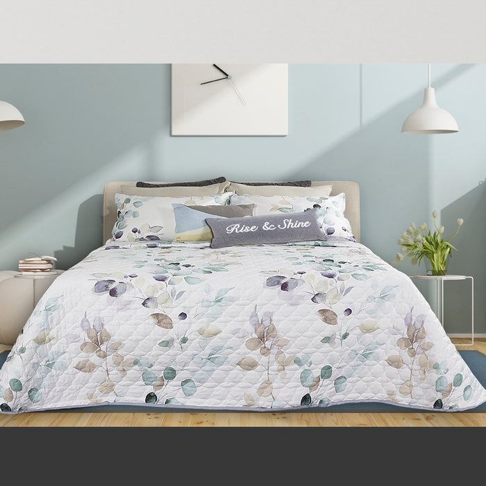Medora Collection