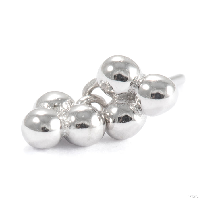 Meet Cute Press-fit End in 14k White Gold from Ember Body Jewelry