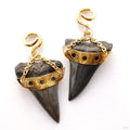 Megalodon Teeth with Triple Cutout from Diablo Organics