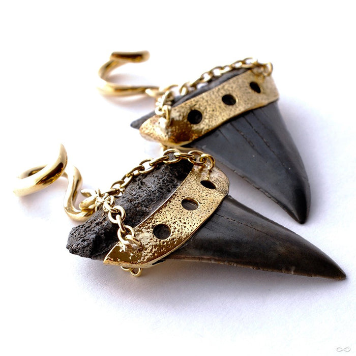 Megalodon Teeth with Triple Cutout from Diablo Organics