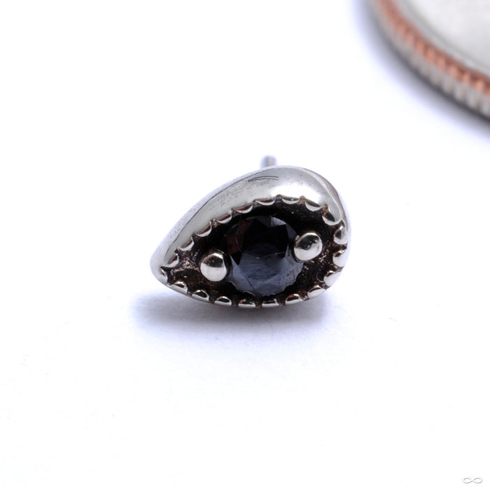 14k White Gold / Black